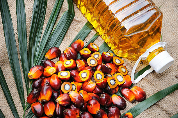 Palm Oil Industry